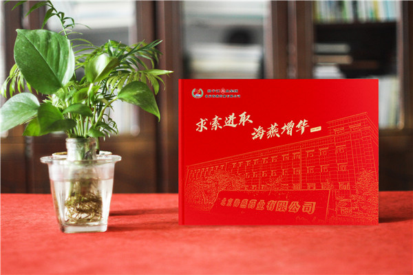 企業周年慶紀念冊包含哪些內容框架-分公司支部建廠成立二十年畫冊