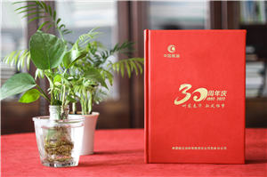 公司成立三十周年紀念畫冊-單位30周年圖冊內容設計